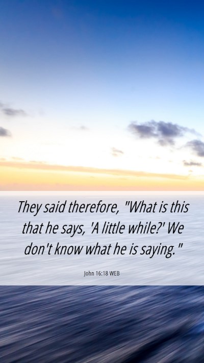 Picture 06 - John 16:18 WEB Mobile Phone Wallpaper - They said therefore, 