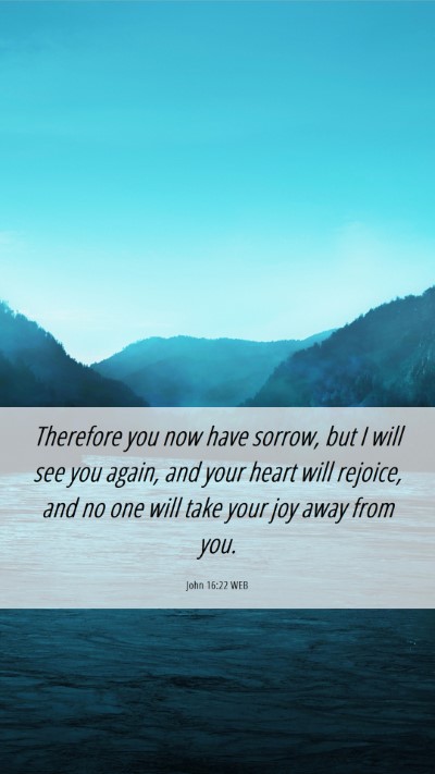 Picture 06 - John 16:22 WEB Mobile Phone Wallpaper - Therefore you now have sorrow, but I will see you - Mobile Bible Verse Wallpaper