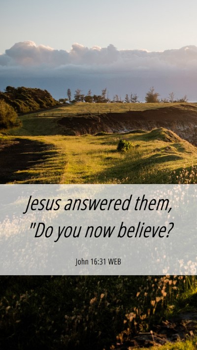 Picture 06 - John 16:31 WEB Mobile Phone Wallpaper - Jesus answered them, 