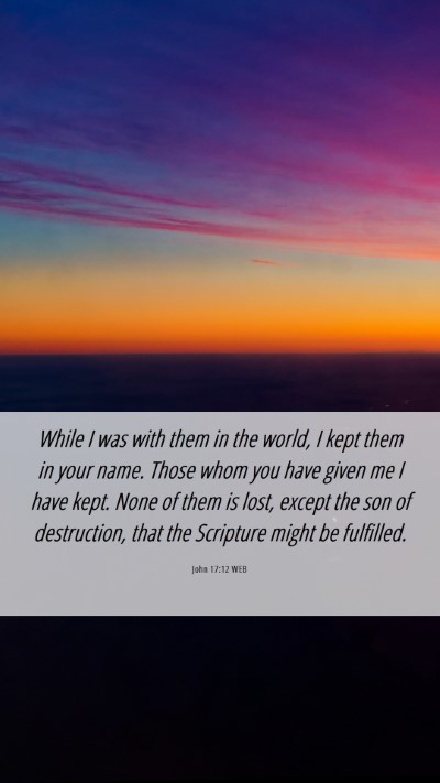 Picture 06 - John 17:12 WEB Mobile Phone Wallpaper - While I was with them in the world, I kept them - Mobile Bible Verse Wallpaper