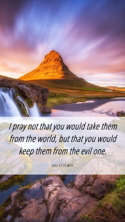 Picture 06 - John 17:15 WEB Mobile Phone Wallpaper - I pray not that you would take them from the - Mobile Bible Verse Wallpaper