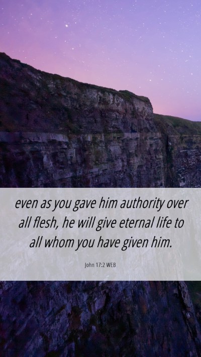 Picture 06 - John 17:2 WEB Mobile Phone Wallpaper - even as you gave him authority over all flesh, he - Mobile Bible Verse Wallpaper