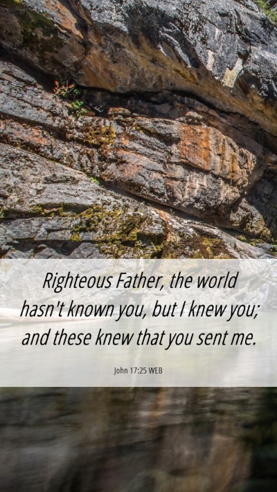 Picture 06 - John 17:25 WEB Mobile Phone Wallpaper - Righteous Father, the world hasn't known you, but - Mobile Bible Verse Wallpaper