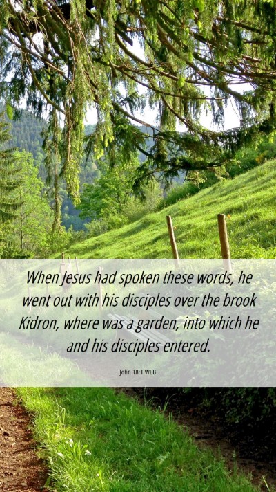 Picture 06 - John 18:1 WEB Mobile Phone Wallpaper - When Jesus had spoken these words, he went out - Mobile Bible Verse Wallpaper