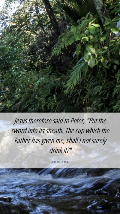 Picture 06 - John 18:11 WEB Mobile Phone Wallpaper - Jesus therefore said to Peter, 
