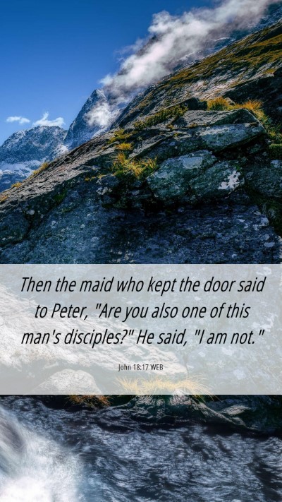 Picture 06 - John 18:17 WEB Mobile Phone Wallpaper - Then the maid who kept the door said to Peter, - Mobile Bible Verse Wallpaper