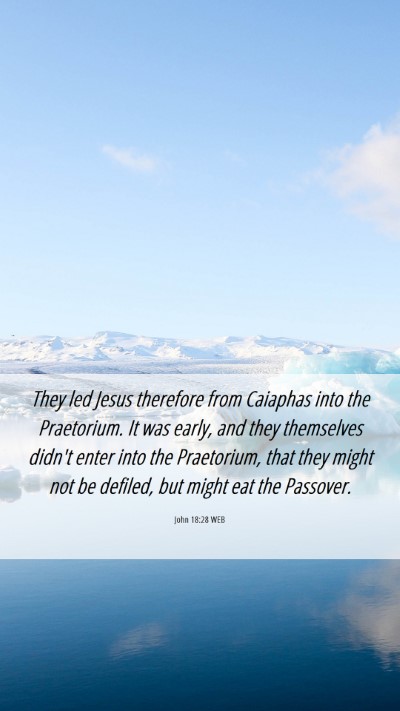 Picture 06 - John 18:28 WEB Mobile Phone Wallpaper - They led Jesus therefore from Caiaphas into the - Mobile Bible Verse Wallpaper