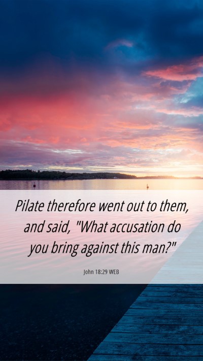 Picture 06 - John 18:29 WEB Mobile Phone Wallpaper - Pilate therefore went out to them, and said, - Mobile Bible Verse Wallpaper