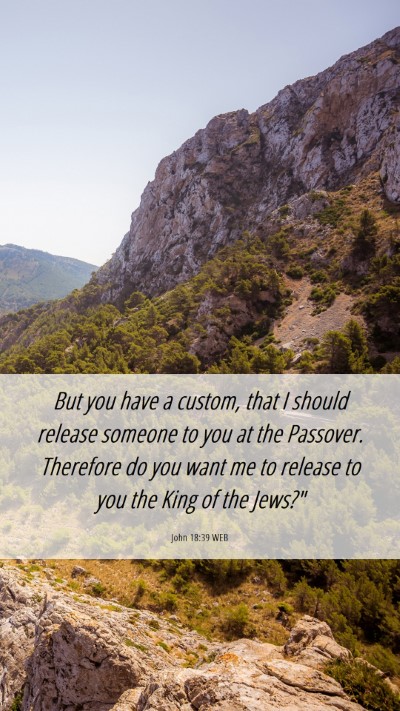 Picture 06 - John 18:39 WEB Mobile Phone Wallpaper - But you have a custom, that I should release - Mobile Bible Verse Wallpaper