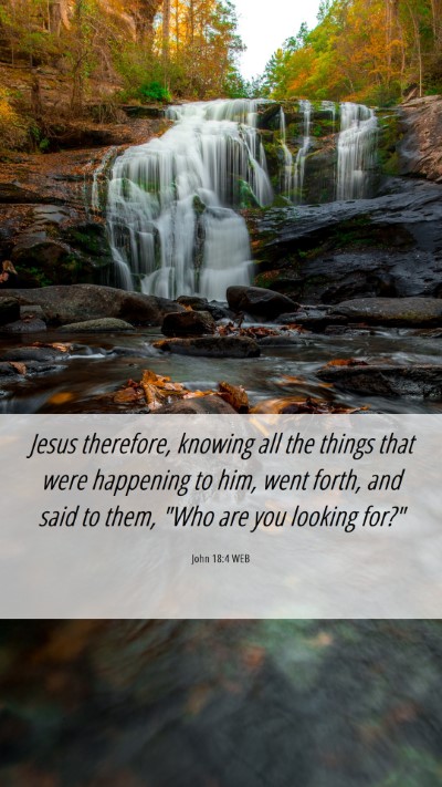 Picture 06 - John 18:4 WEB Mobile Phone Wallpaper - Jesus therefore, knowing all the things that were - Mobile Bible Verse Wallpaper