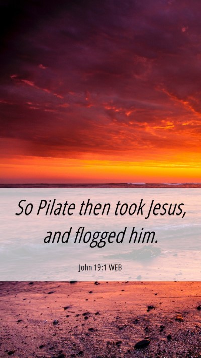 Picture 06 - John 19:1 WEB Mobile Phone Wallpaper - So Pilate then took Jesus, and flogged - Mobile Bible Verse Wallpaper