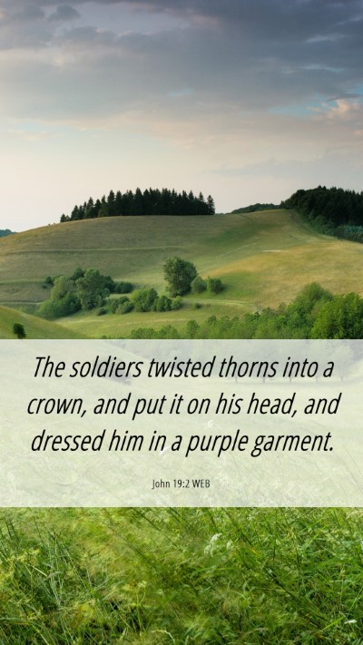 Picture 06 - John 19:2 WEB Mobile Phone Wallpaper - The soldiers twisted thorns into a crown, and put - Mobile Bible Verse Wallpaper