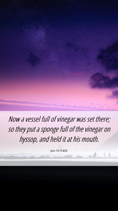 Picture 06 - John 19:29 WEB Mobile Phone Wallpaper - Now a vessel full of vinegar was set there; so - Mobile Bible Verse Wallpaper