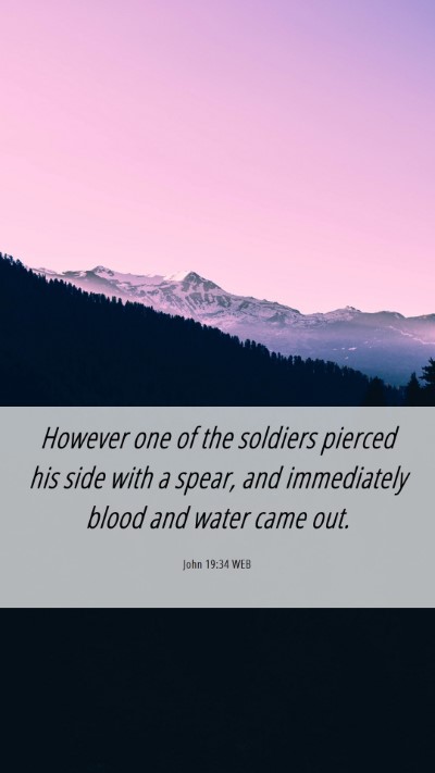 Picture 06 - John 19:34 WEB Mobile Phone Wallpaper - However one of the soldiers pierced his side with - Mobile Bible Verse Wallpaper