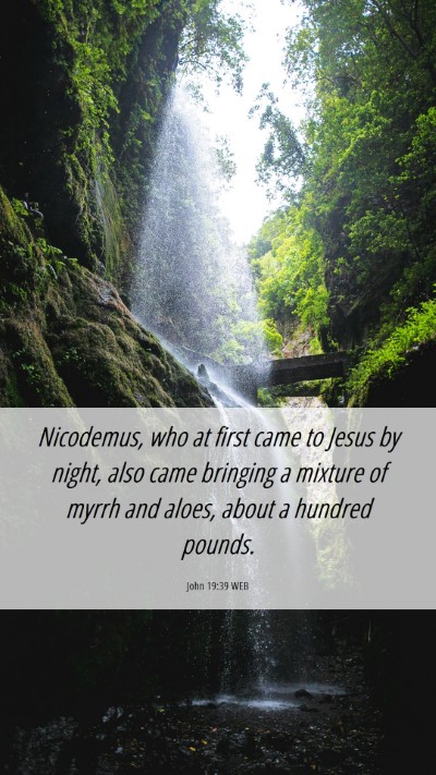 Picture 06 - John 19:39 WEB Mobile Phone Wallpaper - Nicodemus, who at first came to Jesus by night, - Mobile Bible Verse Wallpaper