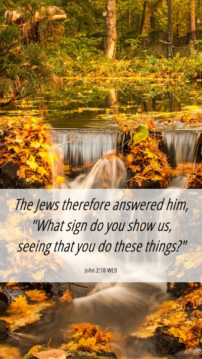Picture 06 - John 2:18 WEB Mobile Phone Wallpaper - The Jews therefore answered him, 