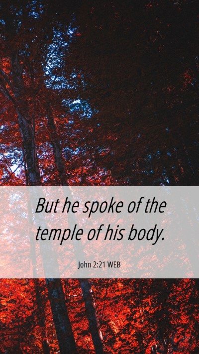 Picture 06 - John 2:21 WEB Mobile Phone Wallpaper - But he spoke of the temple of his - Mobile Bible Verse Wallpaper