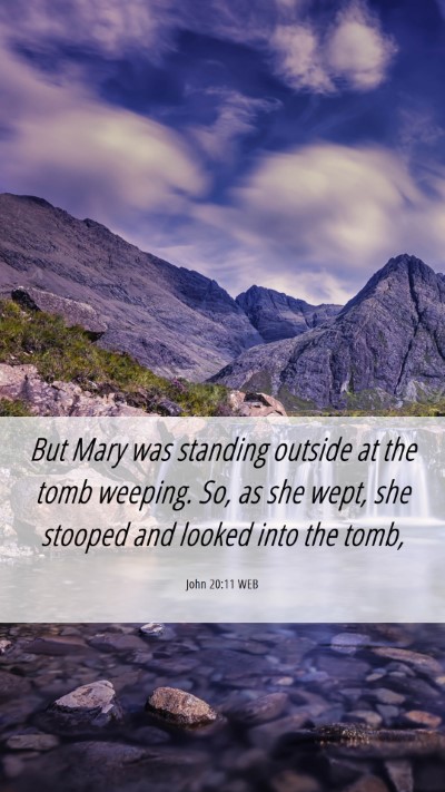Picture 06 - John 20:11 WEB Mobile Phone Wallpaper - But Mary was standing outside at the tomb - Mobile Bible Verse Wallpaper