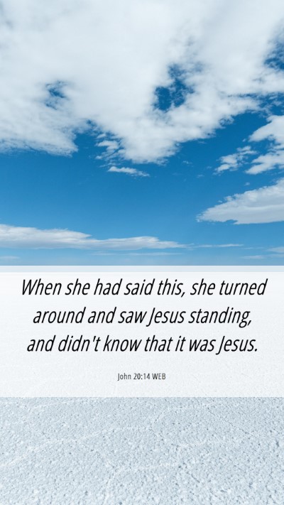 Picture 06 - John 20:14 WEB Mobile Phone Wallpaper - When she had said this, she turned around and saw - Mobile Bible Verse Wallpaper