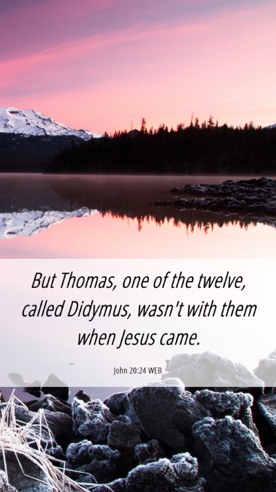 Picture 06 - John 20:24 WEB Mobile Phone Wallpaper - But Thomas, one of the twelve, called Didymus, - Mobile Bible Verse Wallpaper