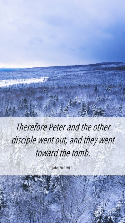 Picture 06 - John 20:3 WEB Mobile Phone Wallpaper - Therefore Peter and the other disciple went out, - Mobile Bible Verse Wallpaper