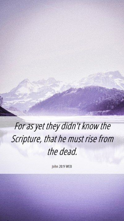 Picture 06 - John 20:9 WEB Mobile Phone Wallpaper - For as yet they didn't know the Scripture, that - Mobile Bible Verse Wallpaper