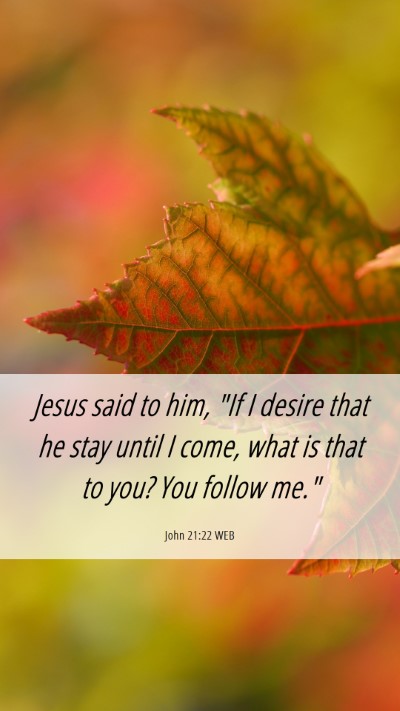 Picture 06 - John 21:22 WEB Mobile Phone Wallpaper - Jesus said to him, 