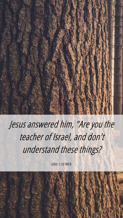 Picture 06 - John 3:10 WEB Mobile Phone Wallpaper - Jesus answered him, 