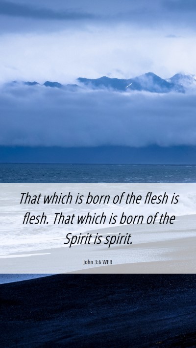 Picture 06 - John 3:6 WEB Mobile Phone Wallpaper - That which is born of the flesh is flesh. That - Mobile Bible Verse Wallpaper