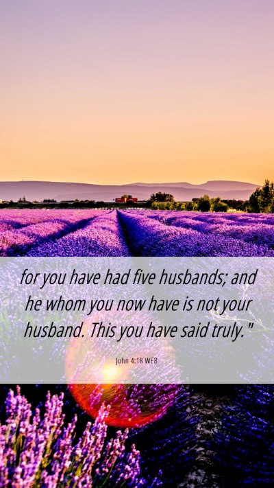 Picture 06 - John 4:18 WEB Mobile Phone Wallpaper - for you have had five husbands; and he whom you - Mobile Bible Verse Wallpaper