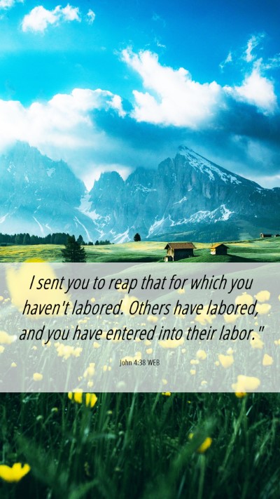 Picture 06 - John 4:38 WEB Mobile Phone Wallpaper - I sent you to reap that for which you haven't - Mobile Bible Verse Wallpaper