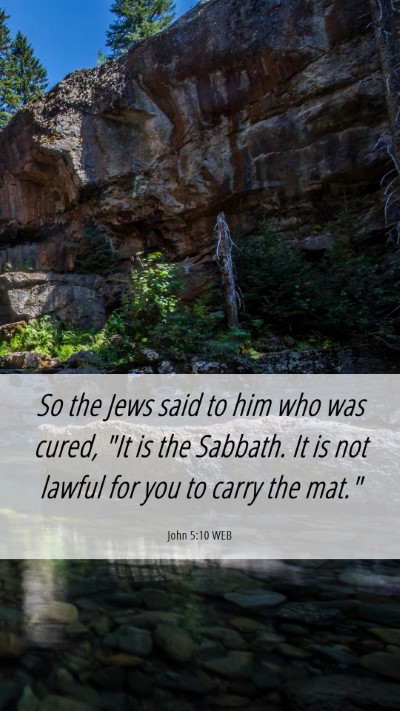 Picture 06 - John 5:10 WEB Mobile Phone Wallpaper - So the Jews said to him who was cured, 