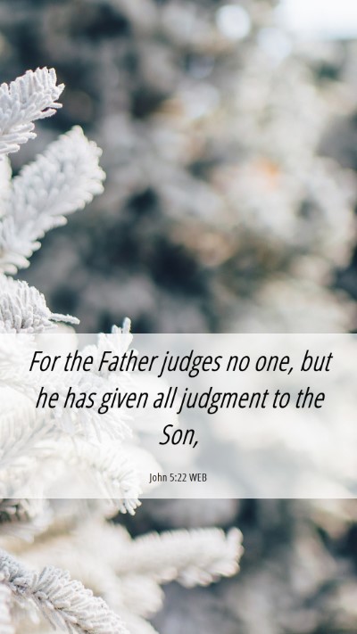 Picture 06 - John 5:22 WEB Mobile Phone Wallpaper - For the Father judges no one, but he has given - Mobile Bible Verse Wallpaper