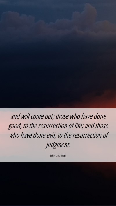 Picture 06 - John 5:29 WEB Mobile Phone Wallpaper - and will come out; those who have done good, to - Mobile Bible Verse Wallpaper