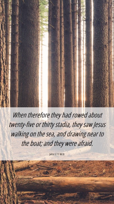 Picture 06 - John 6:19 WEB Mobile Phone Wallpaper - When therefore they had rowed about twenty-five - Mobile Bible Verse Wallpaper
