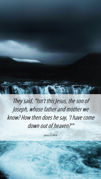 Picture 06 - John 6:42 WEB Mobile Phone Wallpaper - They said, 