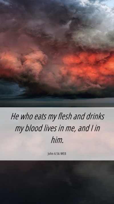Picture 06 - John 6:56 WEB Mobile Phone Wallpaper - He who eats my flesh and drinks my blood lives in - Mobile Bible Verse Wallpaper