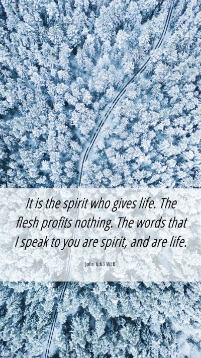 Picture 06 - John 6:63 WEB Mobile Phone Wallpaper - It is the spirit who gives life. The flesh - Mobile Bible Verse Wallpaper