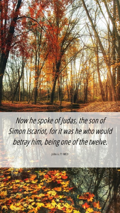 Picture 06 - John 6:71 WEB Mobile Phone Wallpaper - Now he spoke of Judas, the son of Simon Iscariot, - Mobile Bible Verse Wallpaper