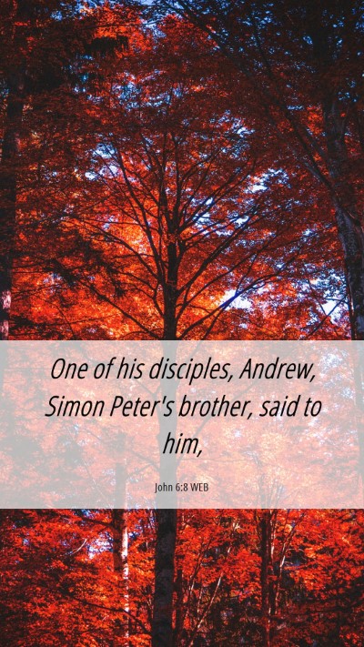 Picture 06 - John 6:8 WEB Mobile Phone Wallpaper - One of his disciples, Andrew, Simon Peter's - Mobile Bible Verse Wallpaper