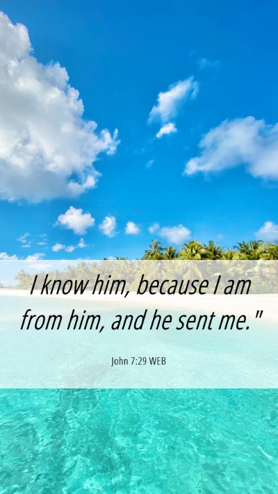 Picture 06 - John 7:29 WEB Mobile Phone Wallpaper - I know him, because I am from him, and he sent - Mobile Bible Verse Wallpaper