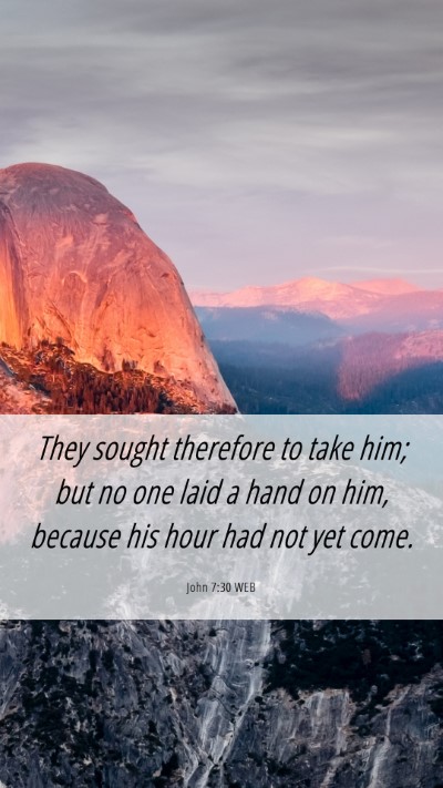 Picture 06 - John 7:30 WEB Mobile Phone Wallpaper - They sought therefore to take him; but no one - Mobile Bible Verse Wallpaper