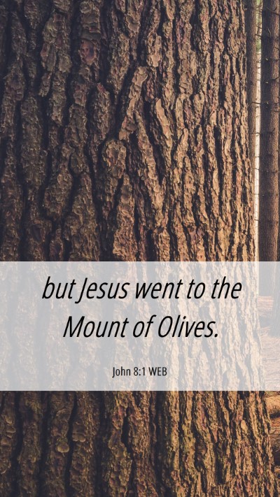 Picture 06 - John 8:1 WEB Mobile Phone Wallpaper - but Jesus went to the Mount of - Mobile Bible Verse Wallpaper