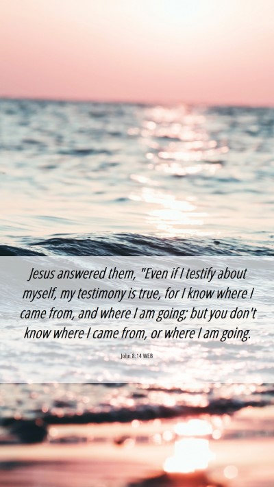 Picture 06 - John 8:14 WEB Mobile Phone Wallpaper - Jesus answered them, 