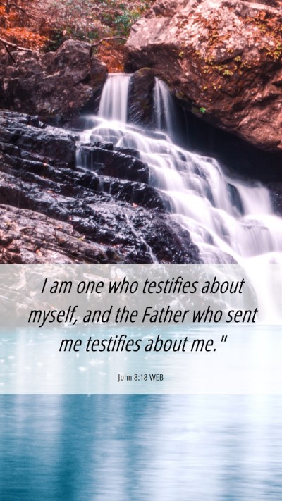 Picture 06 - John 8:18 WEB Mobile Phone Wallpaper - I am one who testifies about myself, and the - Mobile Bible Verse Wallpaper