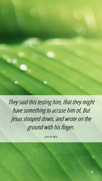 Picture 06 - John 8:6 WEB Mobile Phone Wallpaper - They said this testing him, that they might have - Mobile Bible Verse Wallpaper