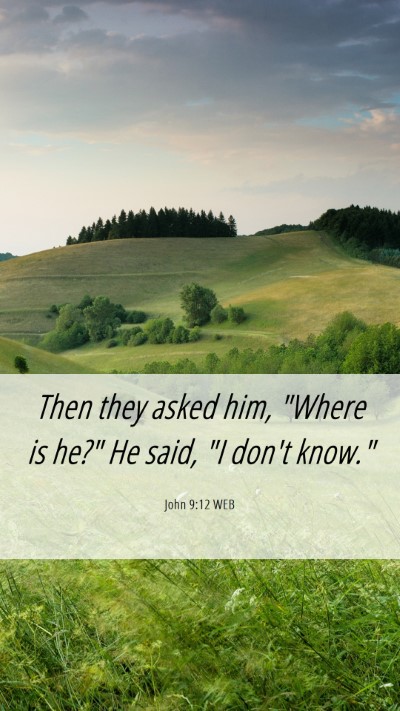 Picture 06 - John 9:12 WEB Mobile Phone Wallpaper - Then they asked him, 