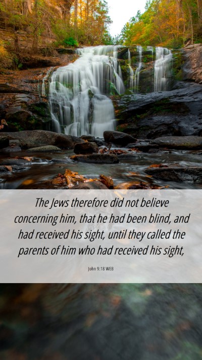 Picture 06 - John 9:18 WEB Mobile Phone Wallpaper - The Jews therefore did not believe concerning - Mobile Bible Verse Wallpaper
