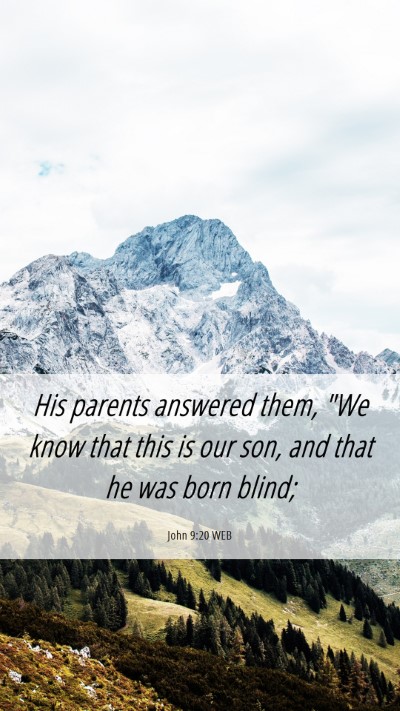 Picture 06 - John 9:20 WEB Mobile Phone Wallpaper - His parents answered them, 