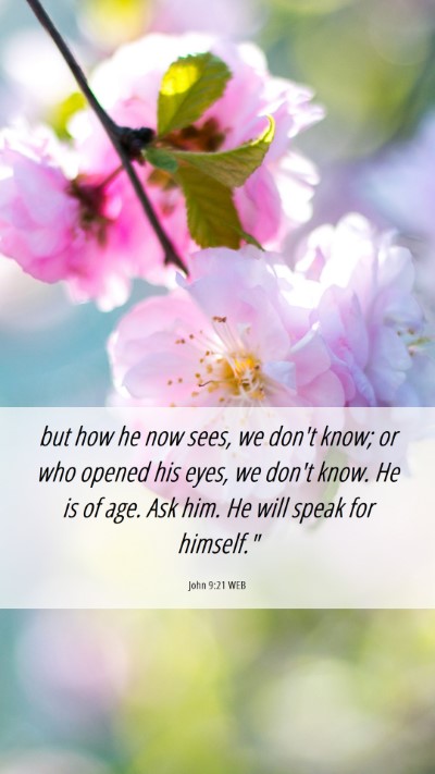Picture 06 - John 9:21 WEB Mobile Phone Wallpaper - but how he now sees, we don't know; or who opened - Mobile Bible Verse Wallpaper